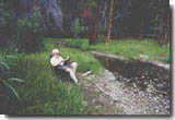 HEY!  Has anyone seen my husband??  Ahhhh...  Just another relaxing day by the brook with a book